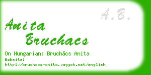 anita bruchacs business card