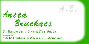 anita bruchacs business card